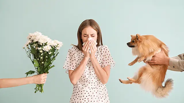 Аллергия в Германии - что это такое и почему она возникает?