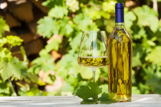 Белые грузинские вина